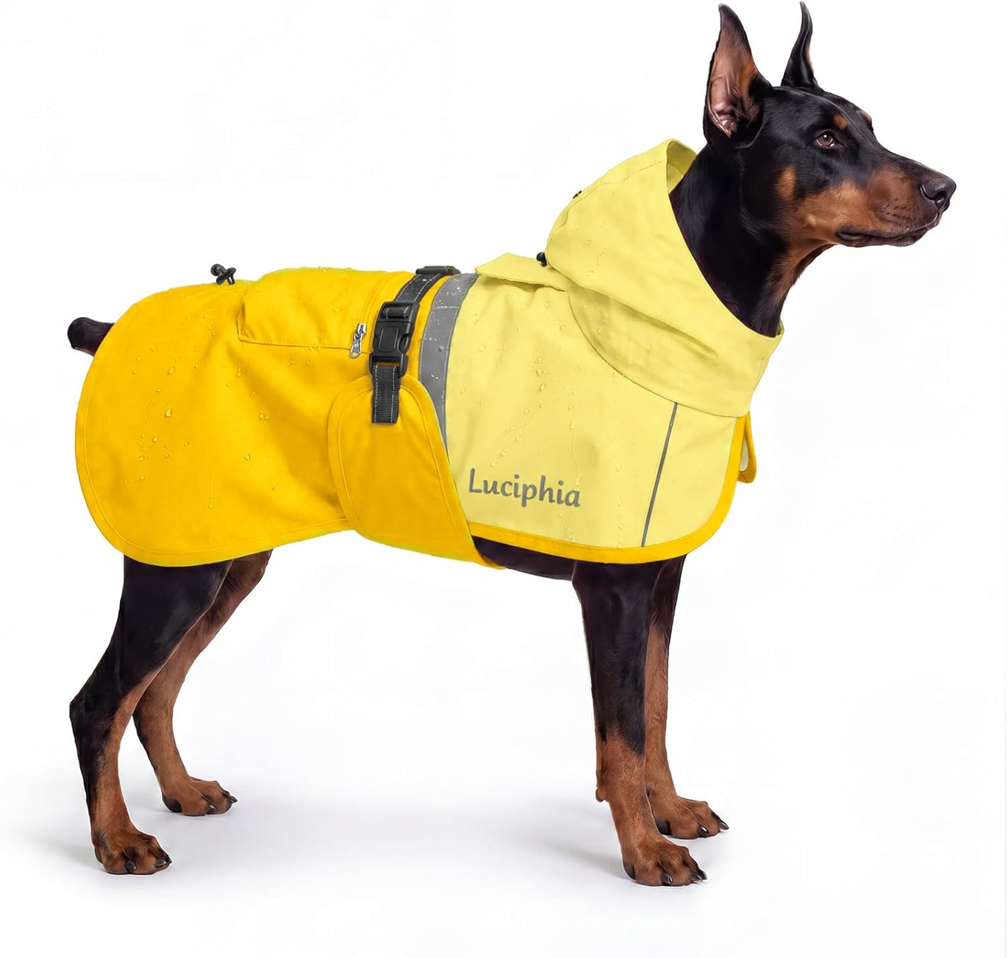 Full coverage waterproof puppy jacket with secure leg straps detail