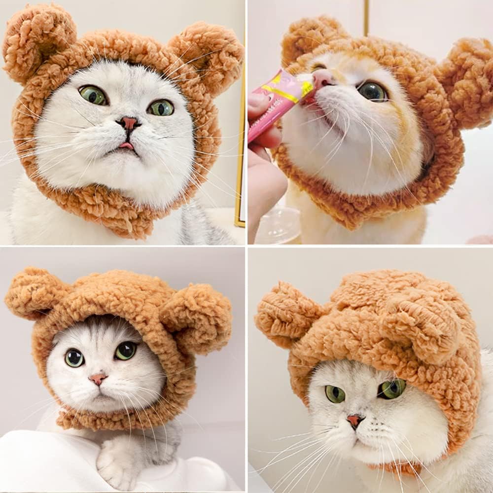 Joicee cute animal hat accessory for small dogs and kittens lifestyle view