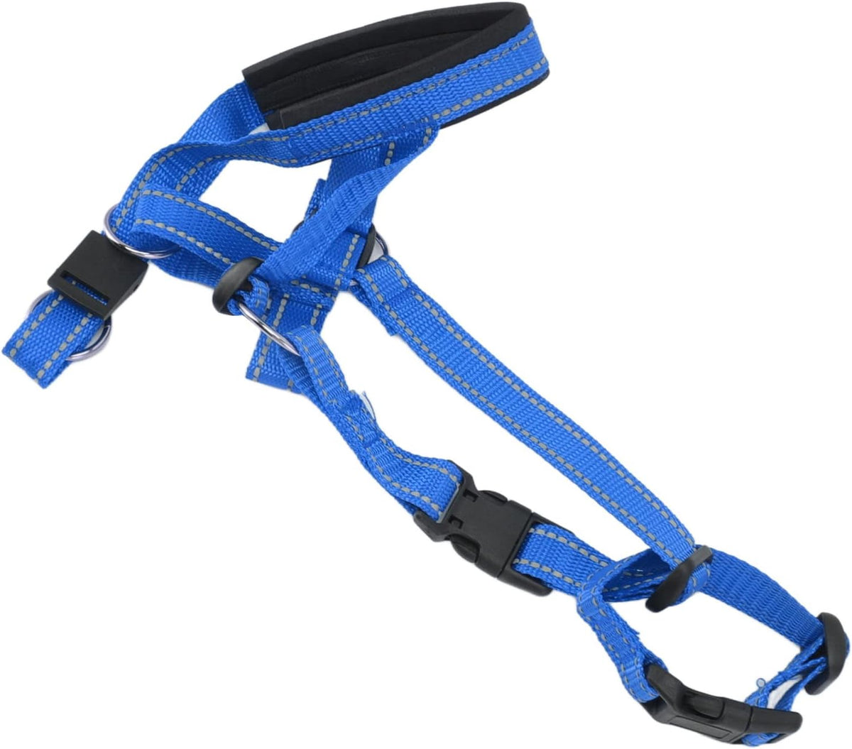 Gavigain adjustable dog training collar on a large breed muzzle detail
