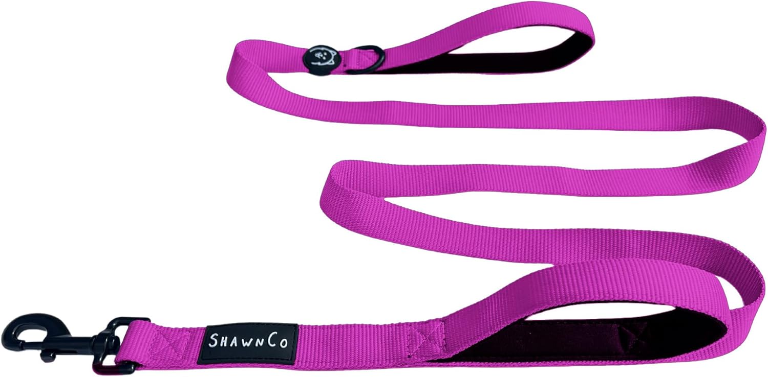 Durable weather resistant nylon dog leash with dual comfort handles