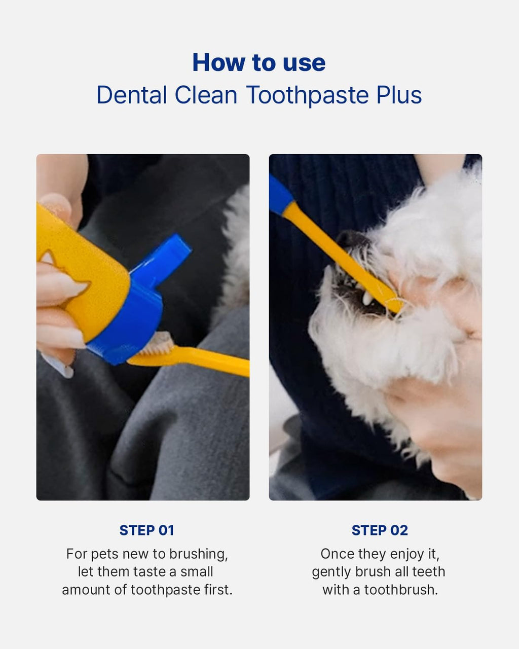 PETHROOM pet dental clean toothpaste plus premium packaging details