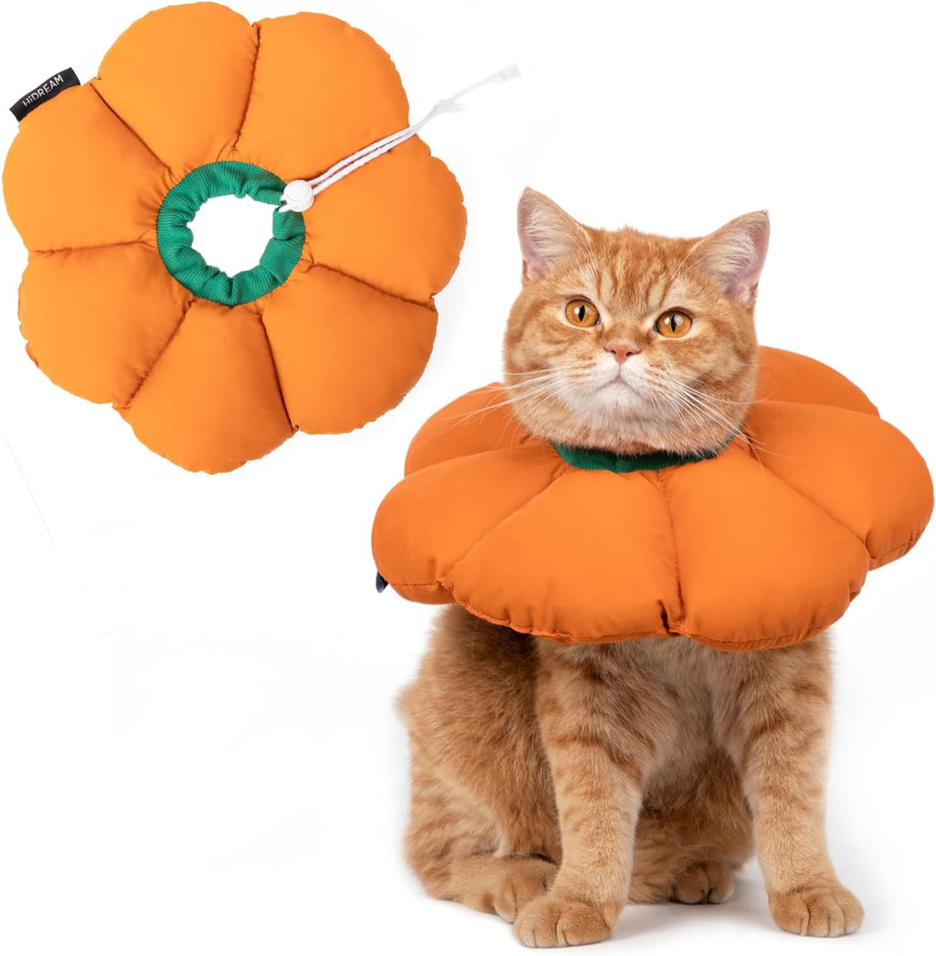 Cat Cone Collar,Cute Waterproof Cat Recovery Collar,Anti-Bite Lick Wound Healing Safety Elizabethan e Collar for Cats,Purple Flower All-Season Style... - Image 11