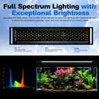 Fzone Brite 90 aquarium light app control interface on smartphone