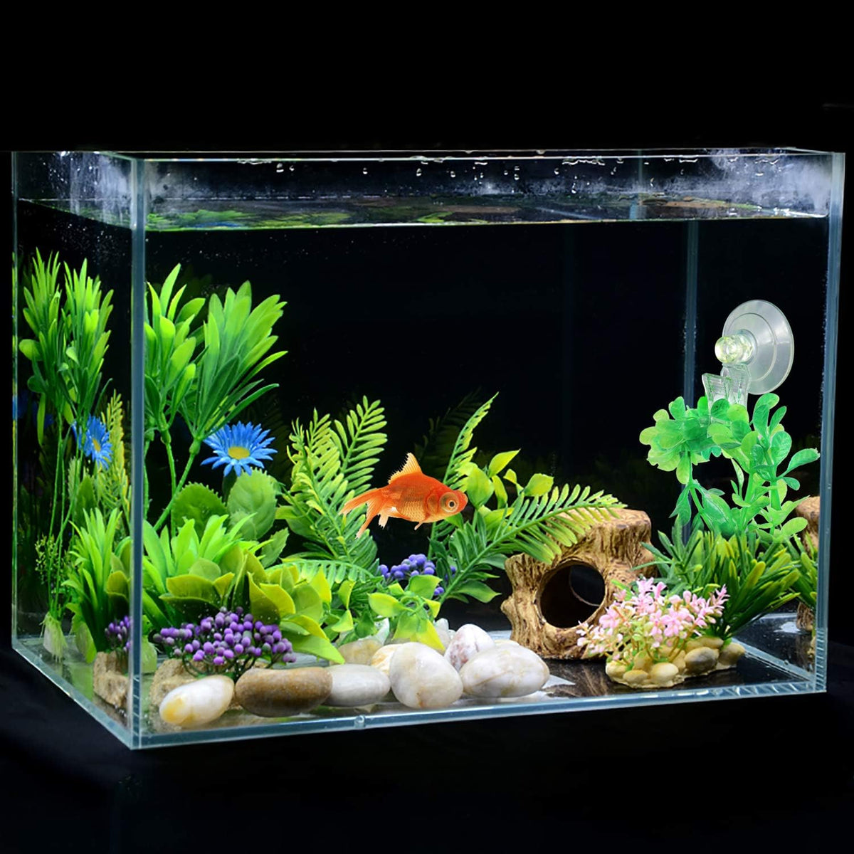 SLSON aquarium veggie seaweed suction cup clip front view