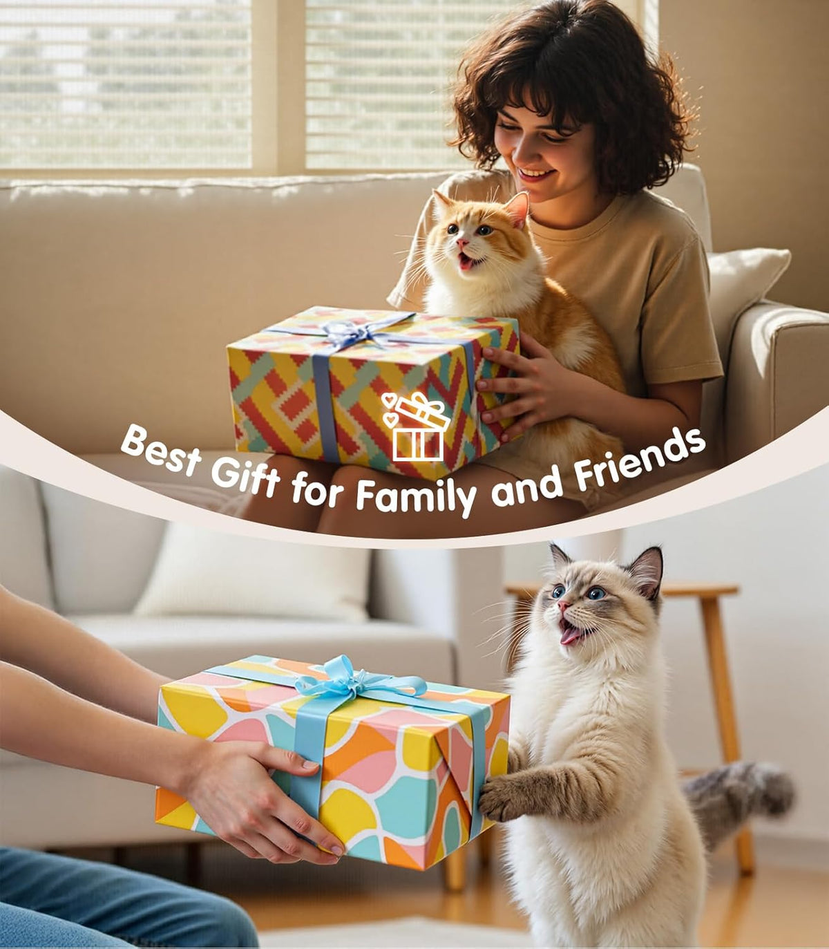 USA imported authentic premium pet interactive sound toy packaging details.