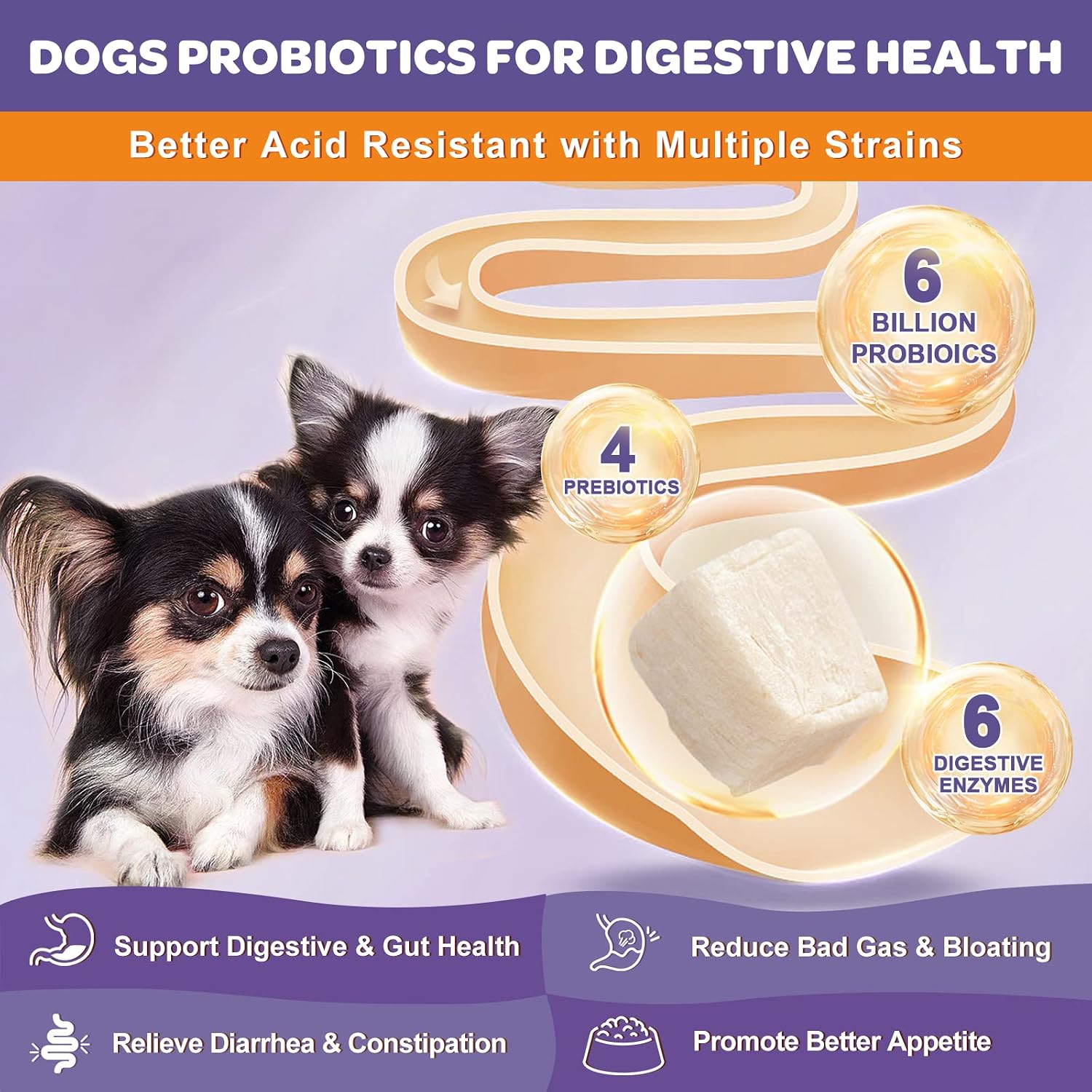 NATURE TARGET freeze dried dog probiotic chews chicken flavor packaging