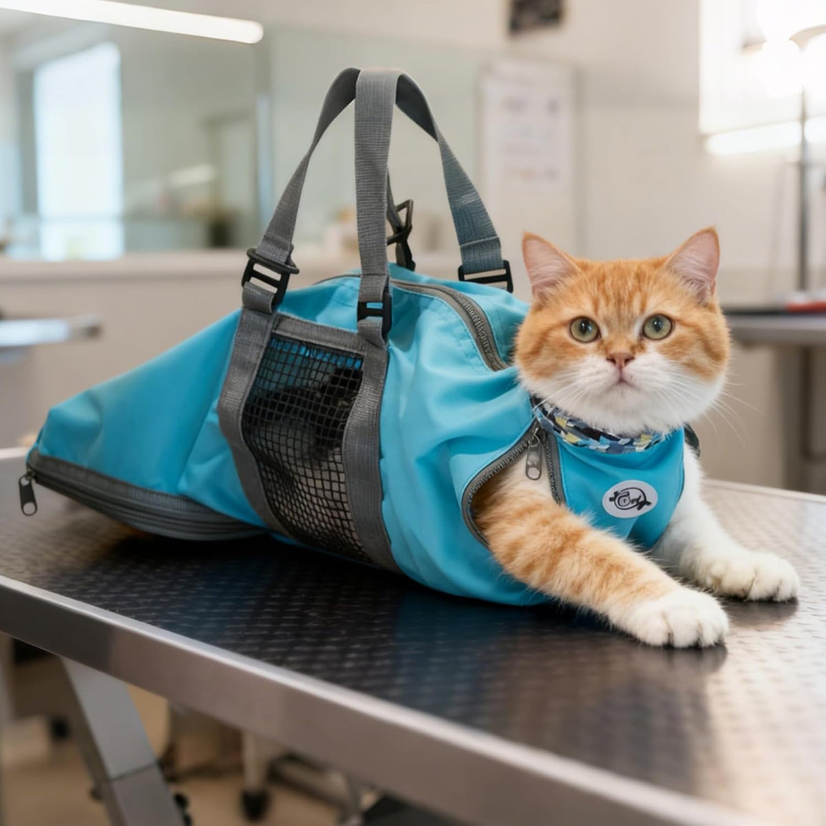 Cinf cat grooming restraint bag front view in blue medium size