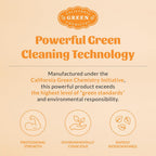 Safe plant based laundry booster for dog and cat stains