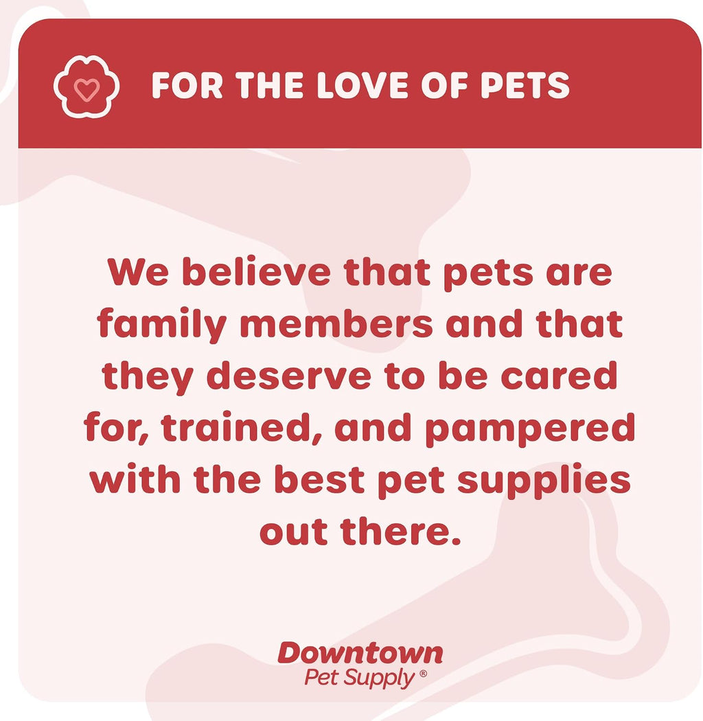 Downtown Pet Supply no choke puppy training collar detailed view of closure mechanism