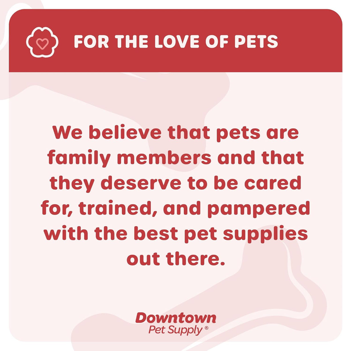 Downtown Pet Supply no choke puppy training collar detailed view of closure mechanism