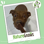 Nature Gnaws premium beef dental sticks for plaque and tartar reduction