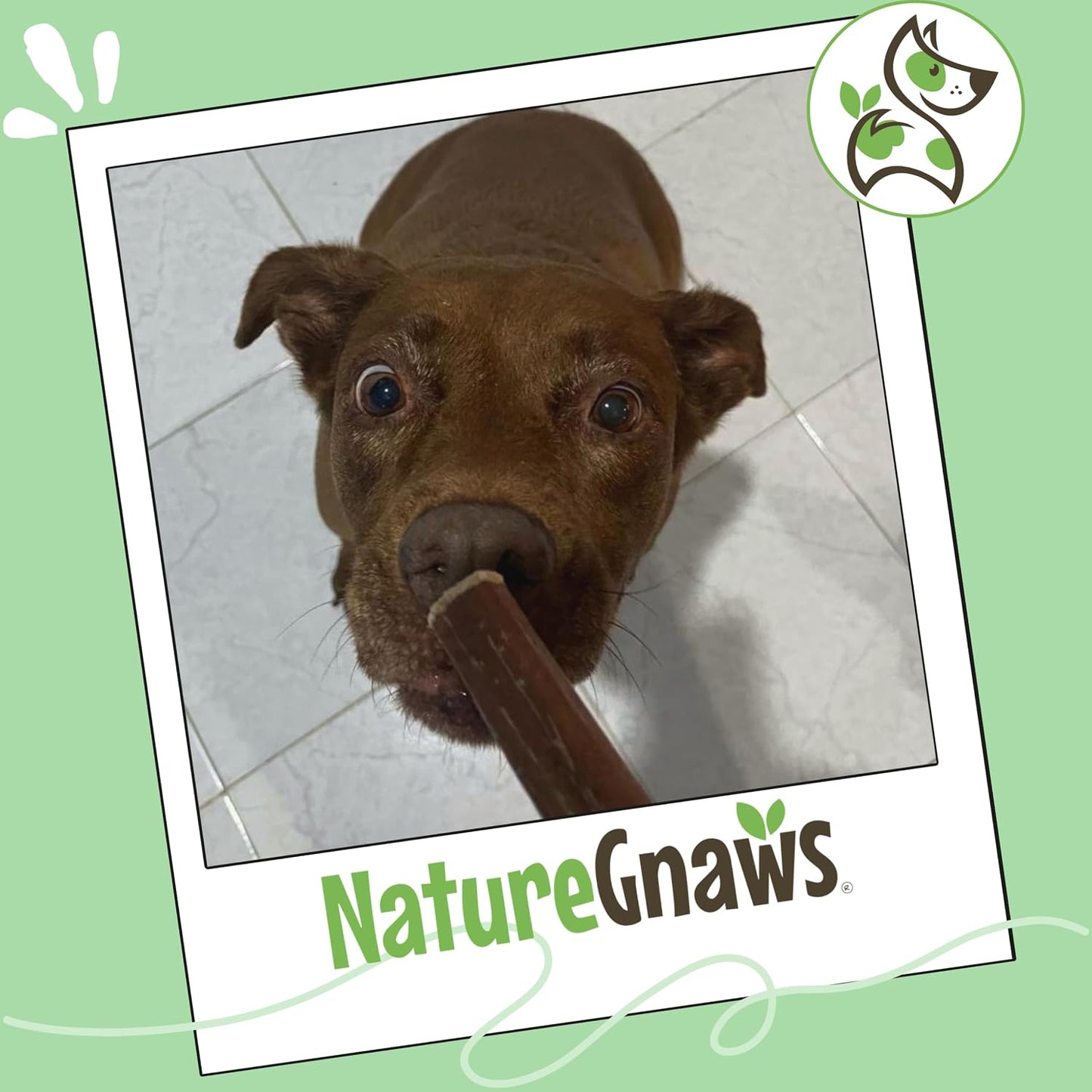 Nature Gnaws premium beef dental sticks for plaque and tartar reduction
