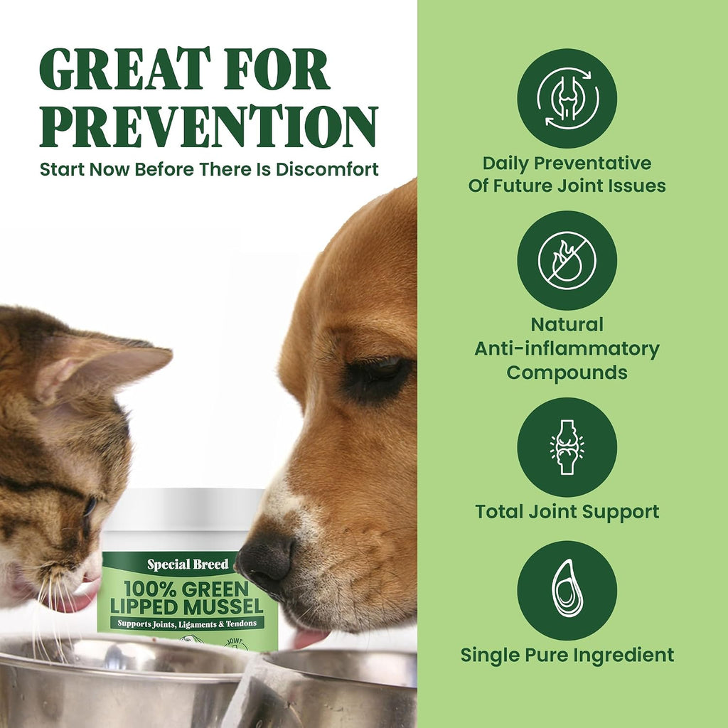 Pure New Zealand green lipped mussel powder container for dogs and cats