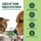 Pure New Zealand green lipped mussel powder container for dogs and cats