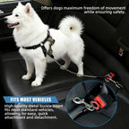 Dog comfortably sitting in back seat with safety belt