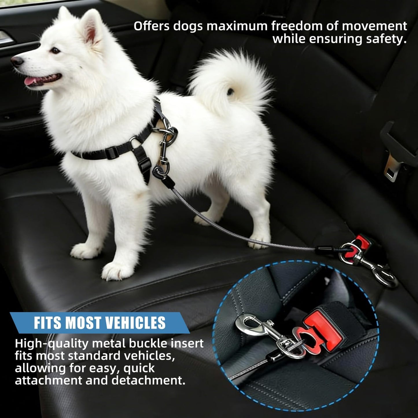 Dog comfortably sitting in back seat with safety belt