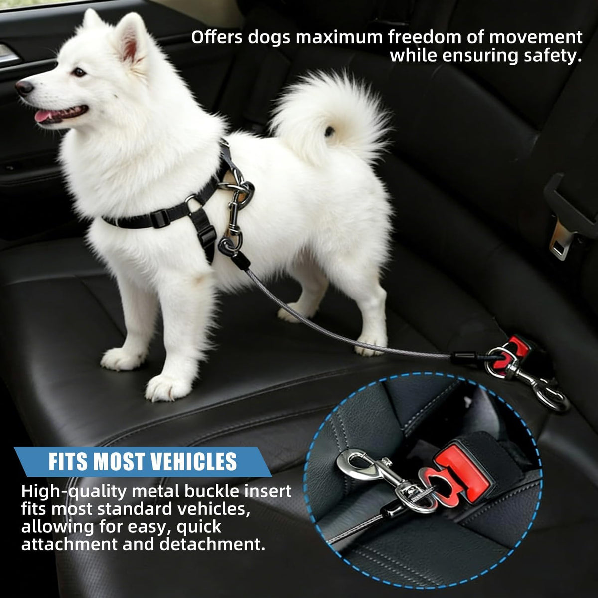 Dog comfortably sitting in back seat with safety belt