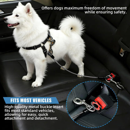 Dog comfortably sitting in back seat with safety belt