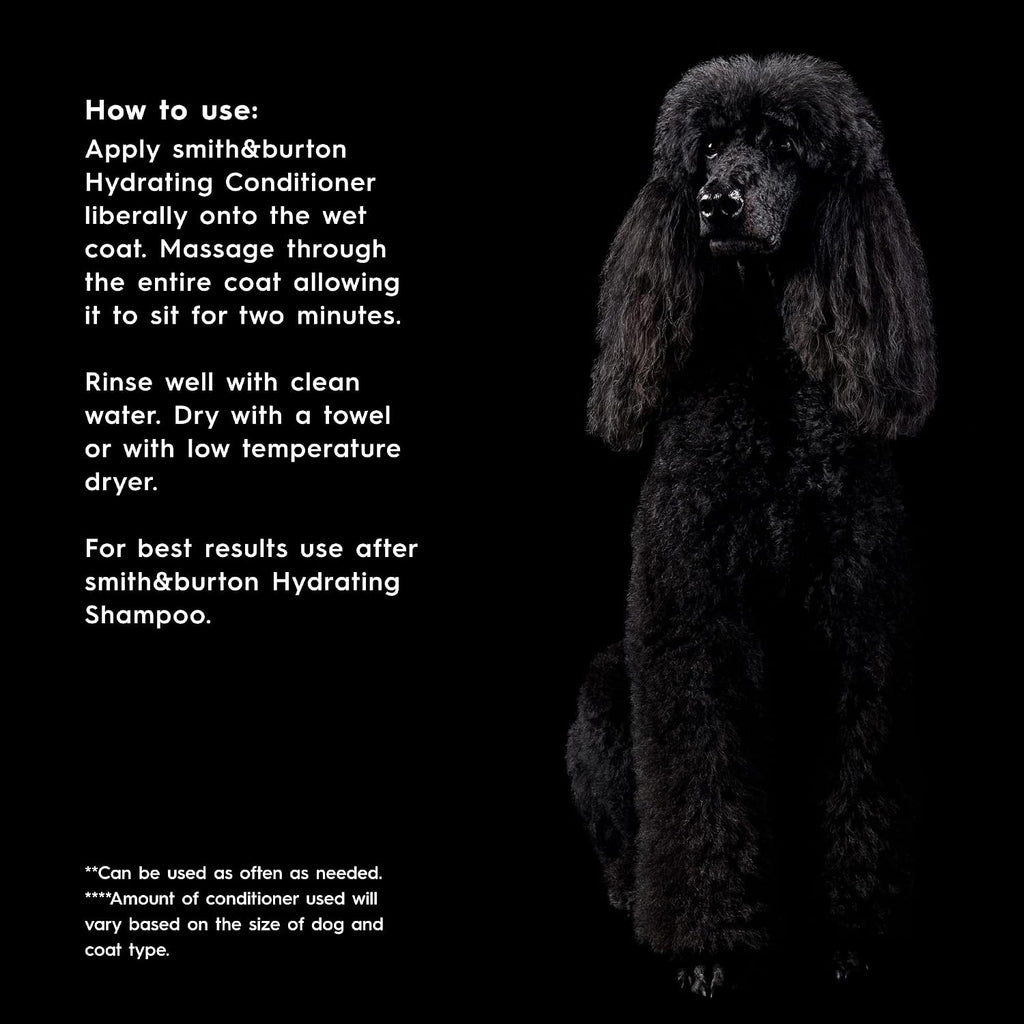 Gentle moisturizing conditioner being applied to a clean dog coat