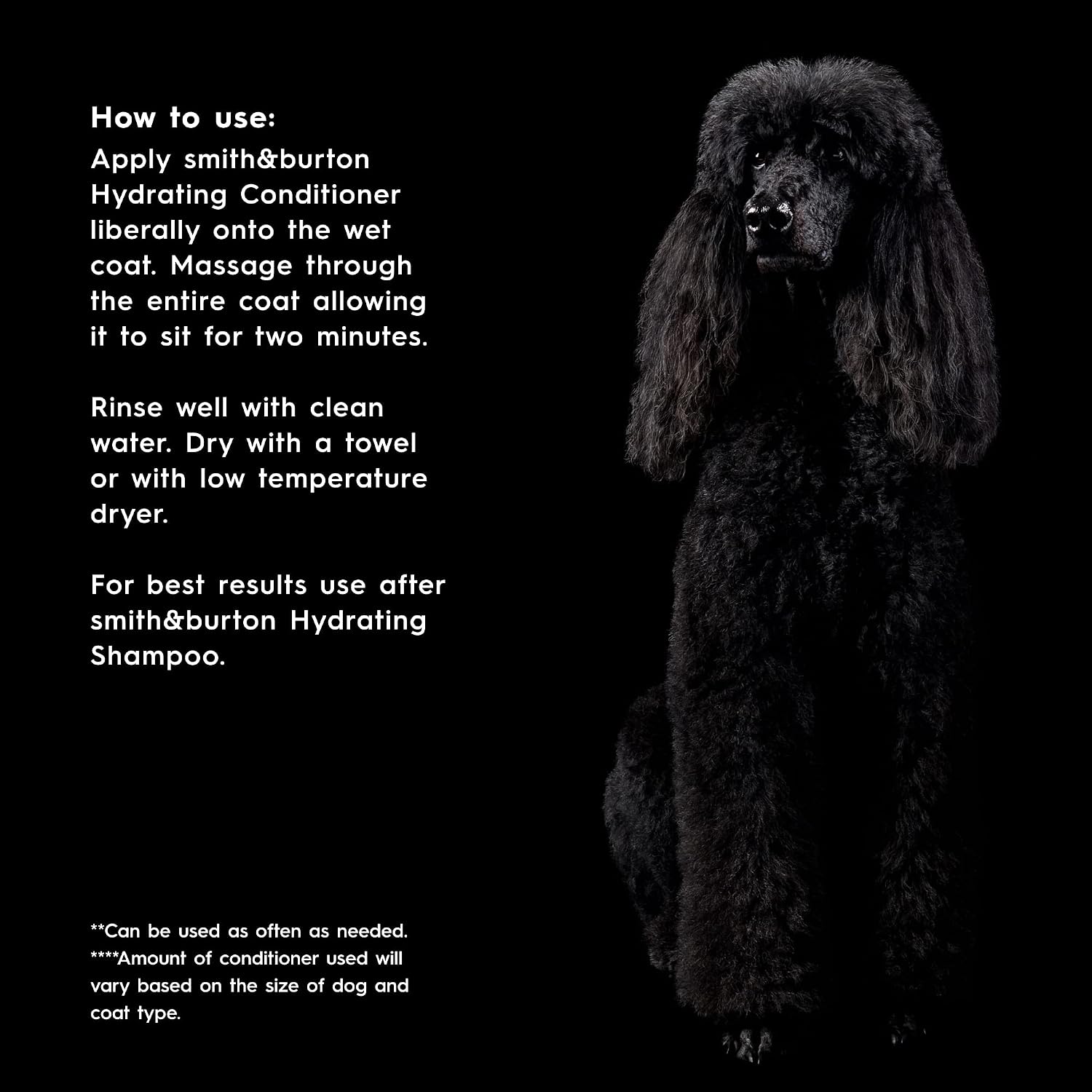Gentle moisturizing conditioner being applied to a clean dog coat