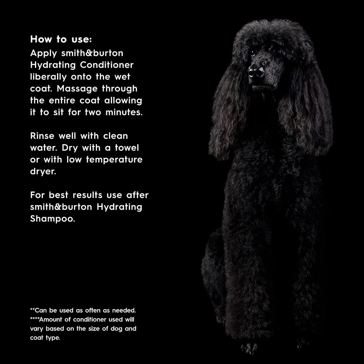 Gentle moisturizing conditioner being applied to a clean dog coat