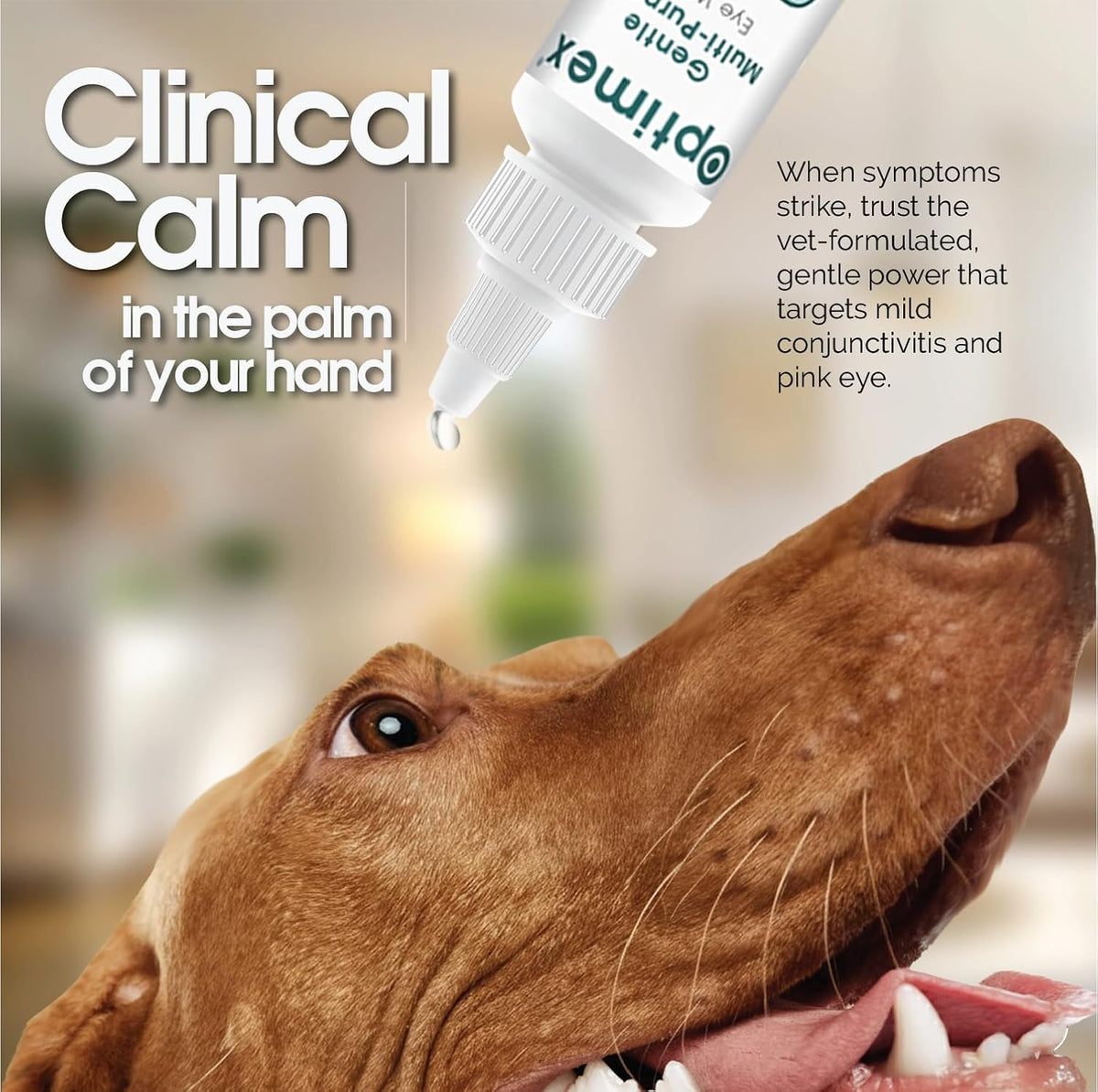 Angels' Eyes sterile eye flush bottle for dog and cat first aid.