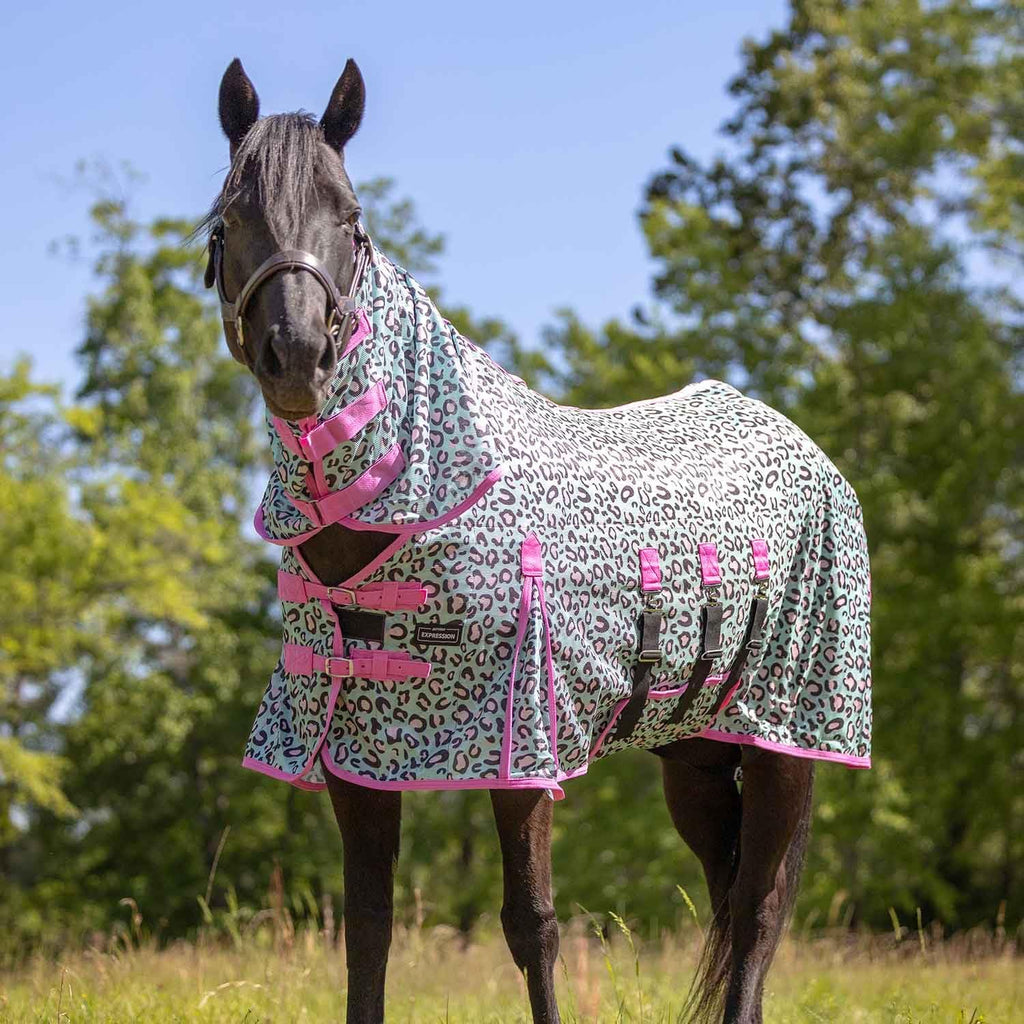 Jeffers Expression Soft Mesh Fly Sheet for Horses 66" - Rose Garden Pattern, Lightweight Mesh Combo Neck Sheet, Breathable UV Protection, Summer Horse Blanket with Straps for Stable or Turnout - Image 10