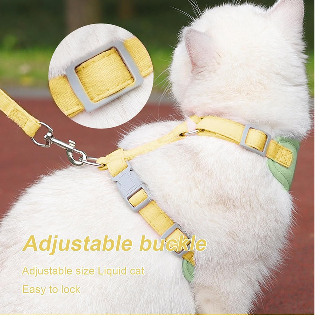 Escape proof kitten harness combo with durable metal D ring attachment