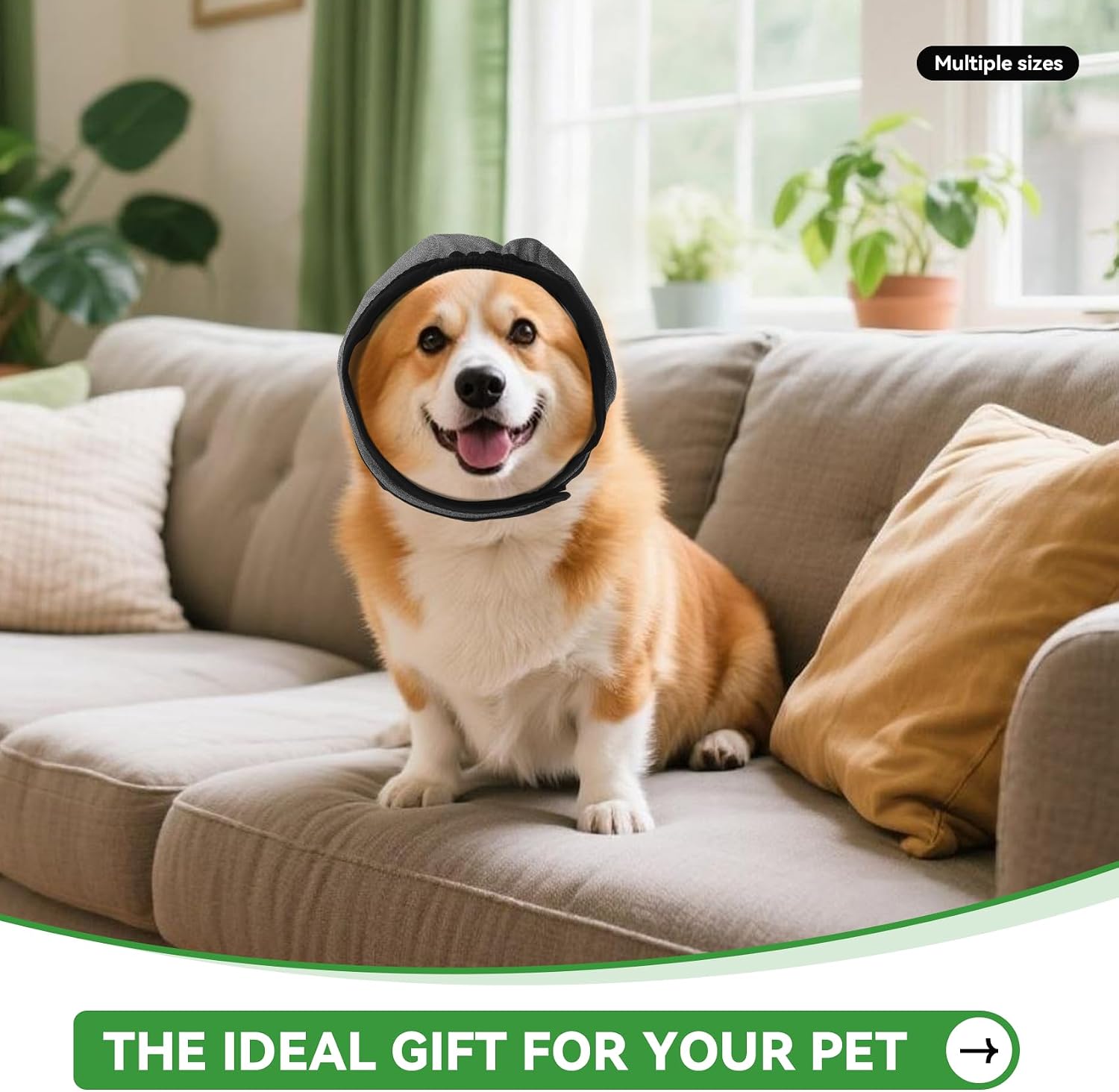 Small size dog calming hood on canine