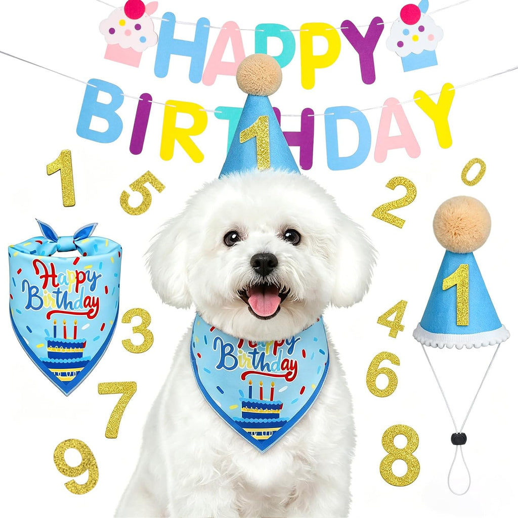 Supet dog birthday decorations kit blue front view
