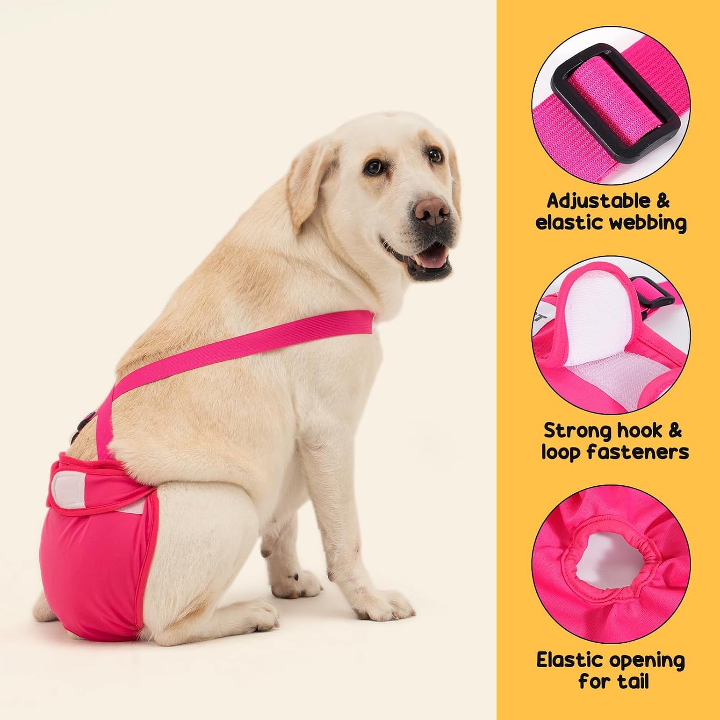 Close up of adjustable elastic suspenders on Avont dog diaper