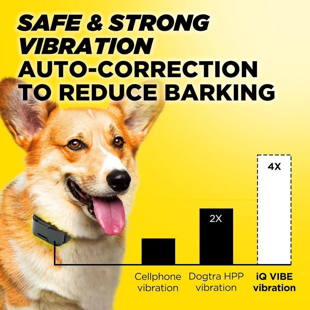Dogtra iQ Vibe collar displaying vibration control button