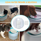 Instructional graphic for installing Oupuses filters in Petlibro fountain.