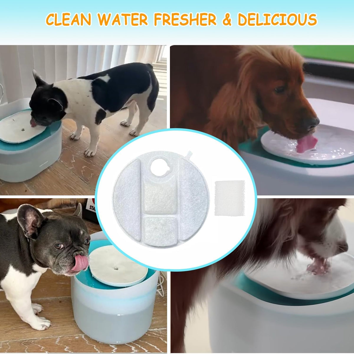 Instructional graphic for installing Oupuses filters in Petlibro fountain.