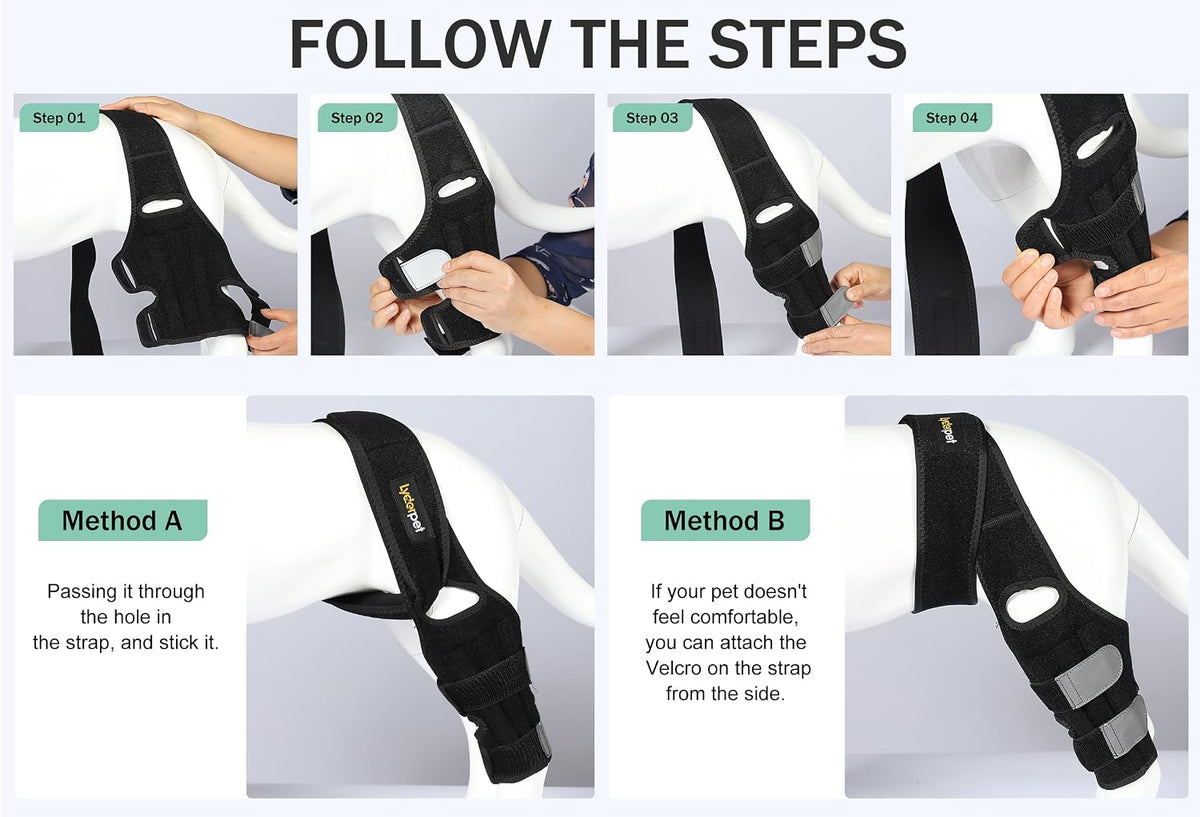 Detail view of breathable neoprene fabric on Lyderpet dog brace