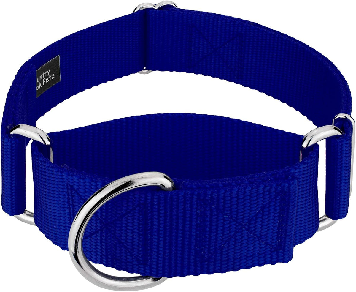 Country Brook Design HossFit Jr Martingale Dog Collar front view in royal blue