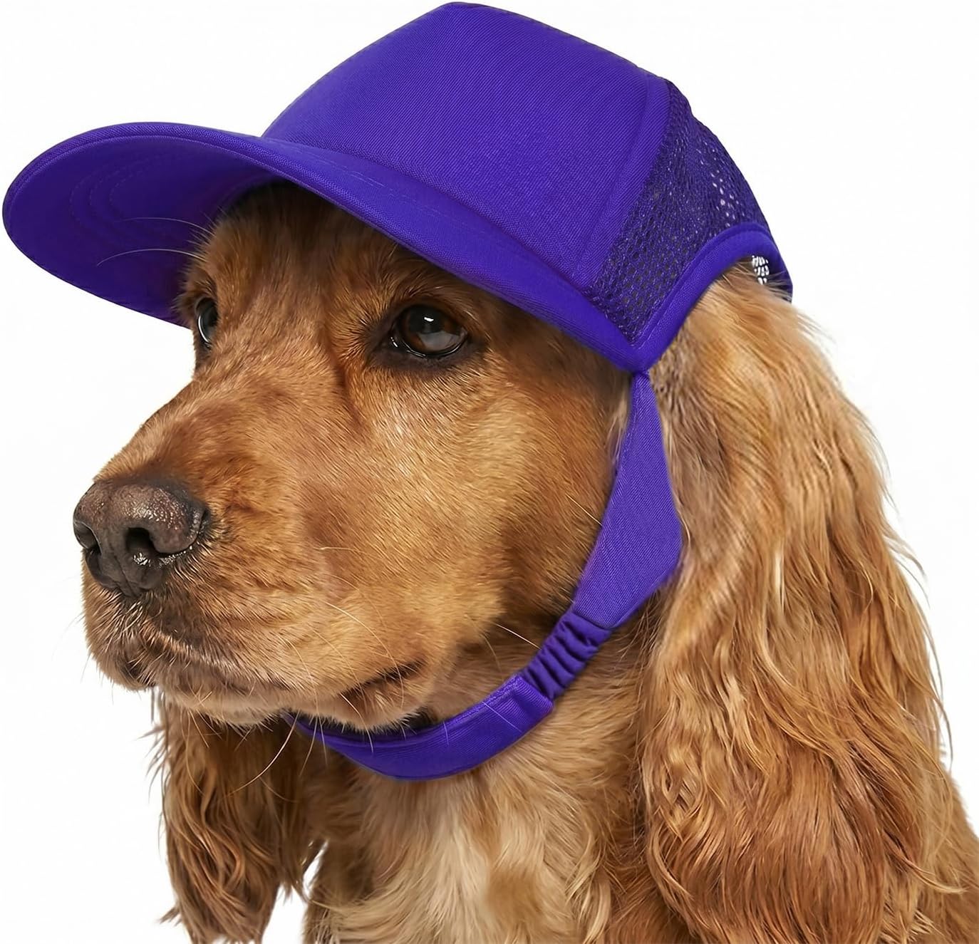Tuff Pupper Dog Baseball Cap | UV Protection Dog Sun Hat | Breathable Lightweight Design | Secure Adjustable Chin Strap | Quick-Dry Fabric | Reinforced Brim | Small Medium Large Dogs (Red, L) - Image 15