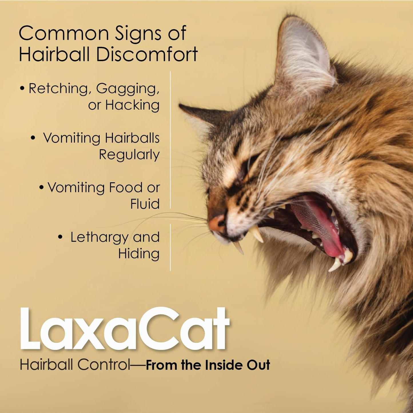 Natural petroleum free hairball treatment being applied to cat paw