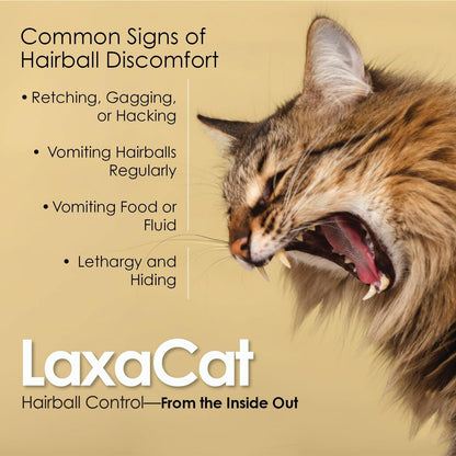 Natural petroleum free hairball treatment being applied to cat paw