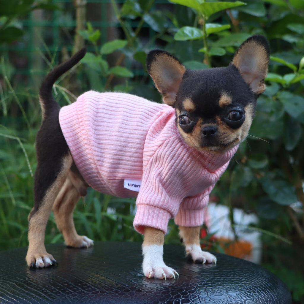 Bright light pink small pet turtleneck texture and stitching close up