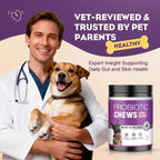 Vet recommended probiotic chews for itchy skin and digestion