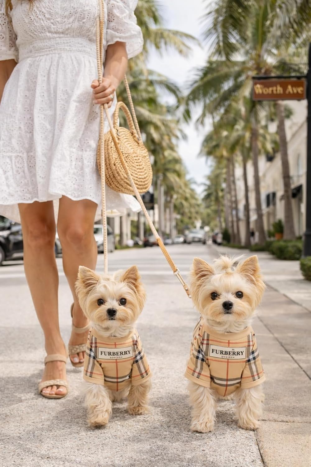 Luxury Designer Dog T Shirt - Trendy Puppy Clothes for Small Dogs, Fashion Pet Tee for French Bulldogs & Chihuahuas, Everything Chic Dog Apparel (FurberryTee, Small) - Image 10