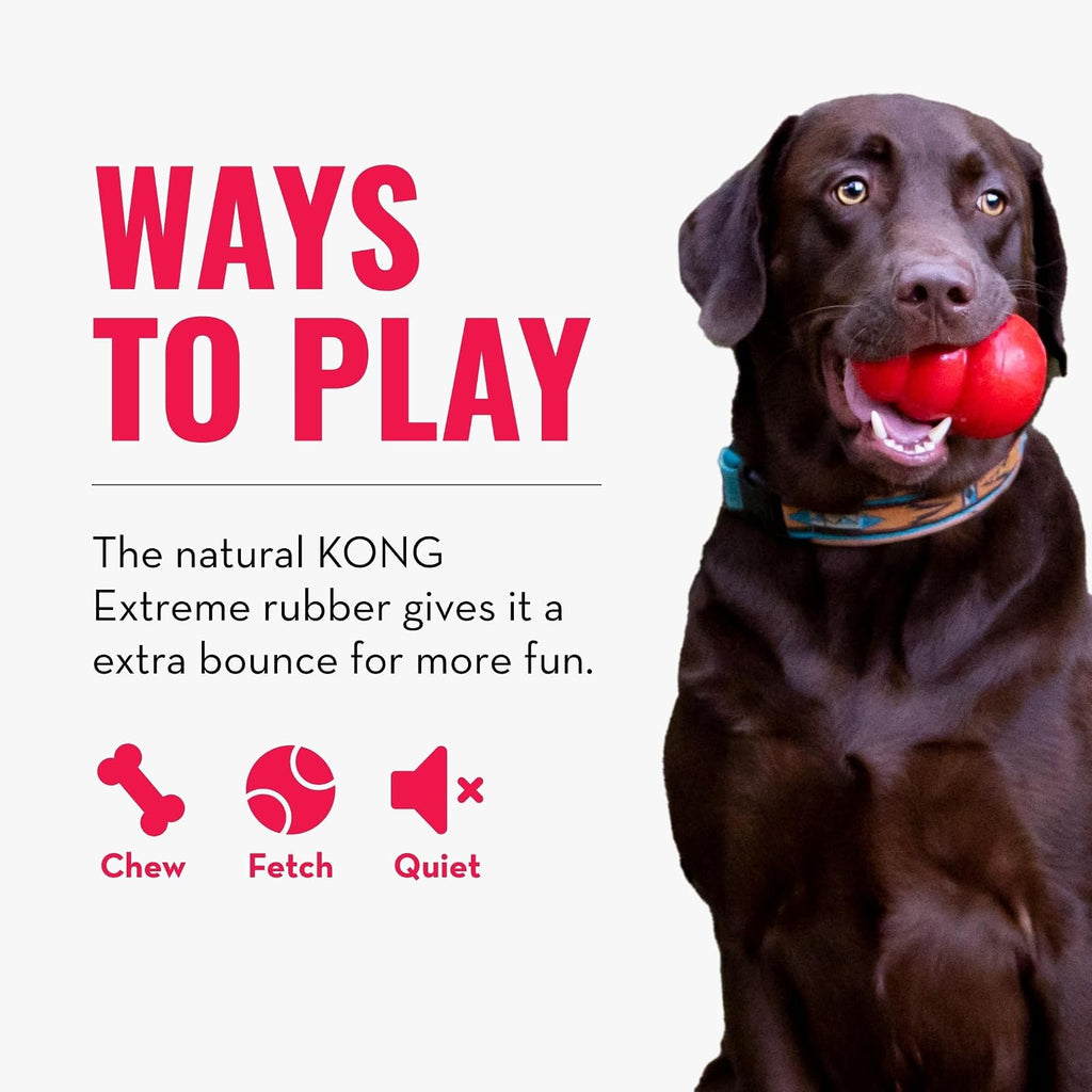 Durable black rubber dog fetch toy for aggressive chewers