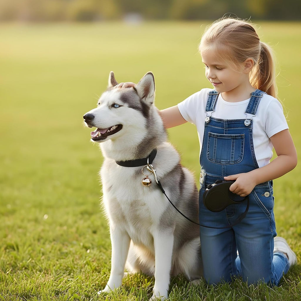 Premium silver colored dog collar bell charm displaying a high gloss reflective finish