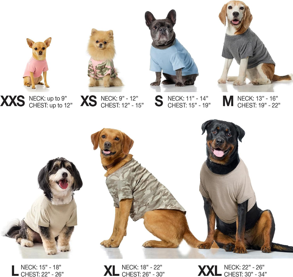 Three pack Pet Passion dog apparel set