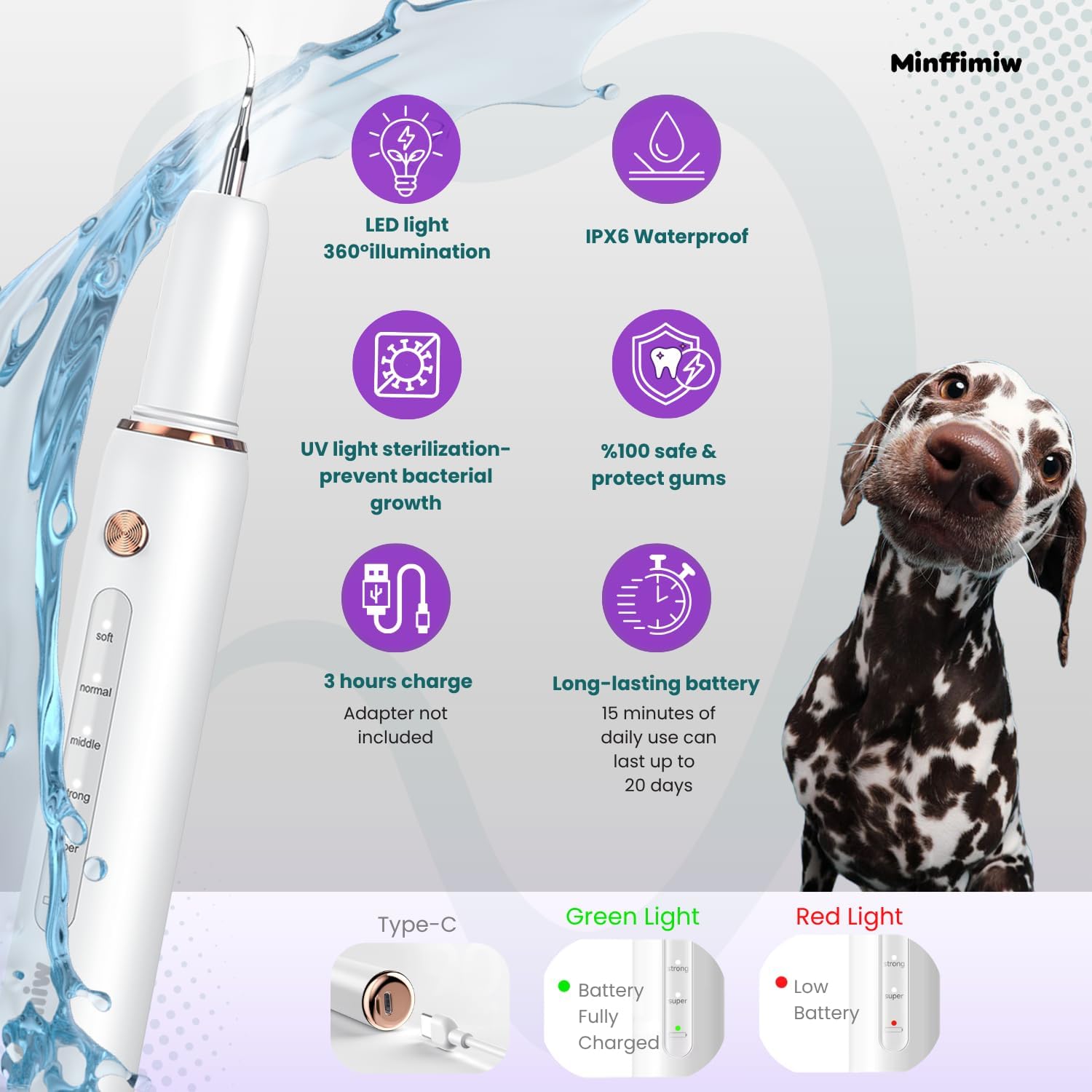 Included dental tools and accessories for pet oral care