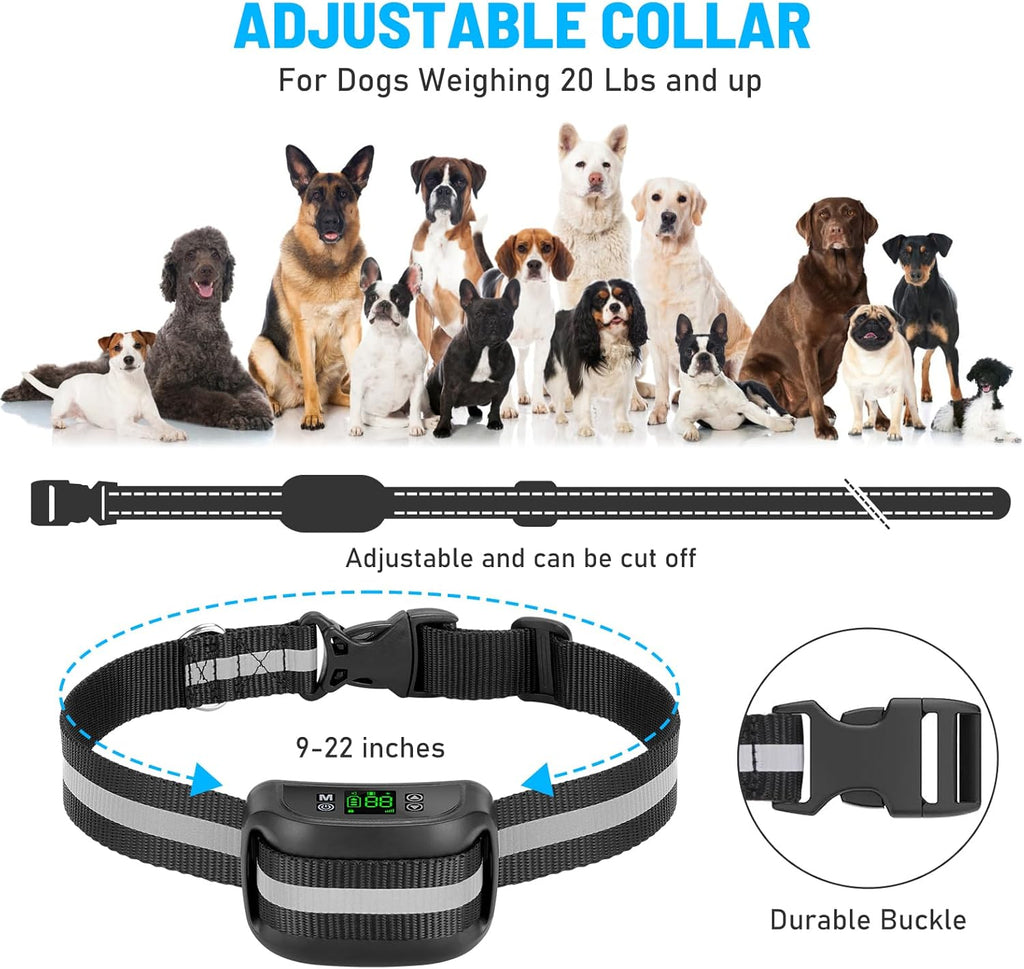 Authentic imported USA pet safety collar fitted on a large breed dog outdoors