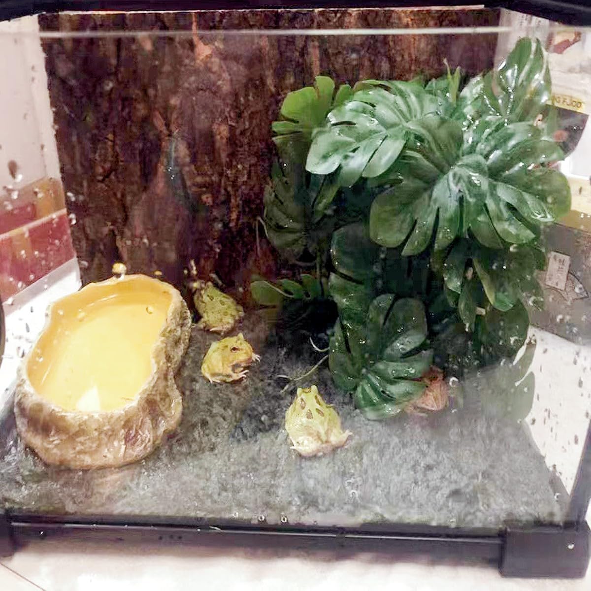 Bearded dragon terrarium with artificial foliage