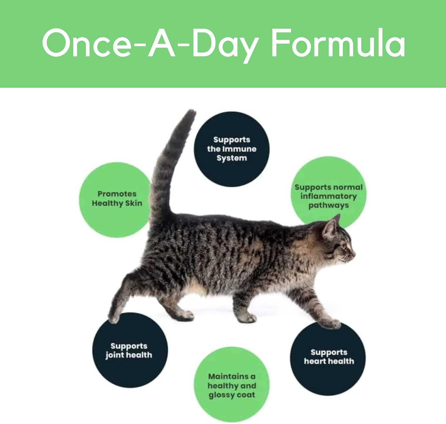 Sierra Life Sciences senior blend fish oil showing simple pump dispenser for cat food application