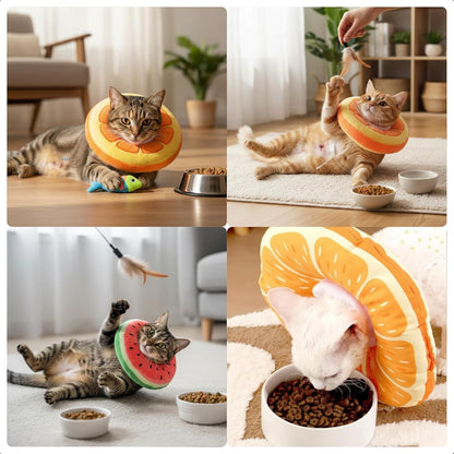 Kitten wearing a soft protective fruit collar while resting comfortably